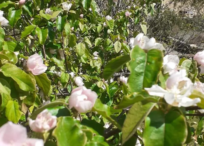 Alojamento de Acomodação e Pequeno-almoço La Vie Naturelle L'air Saint-Paul-la-Coste